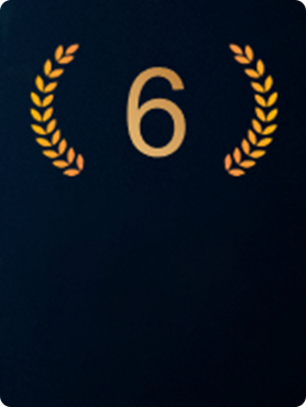 Den Gyldne N&aring;l Designpris